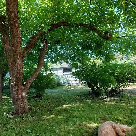 Carpe Diem Tatil Evi *
